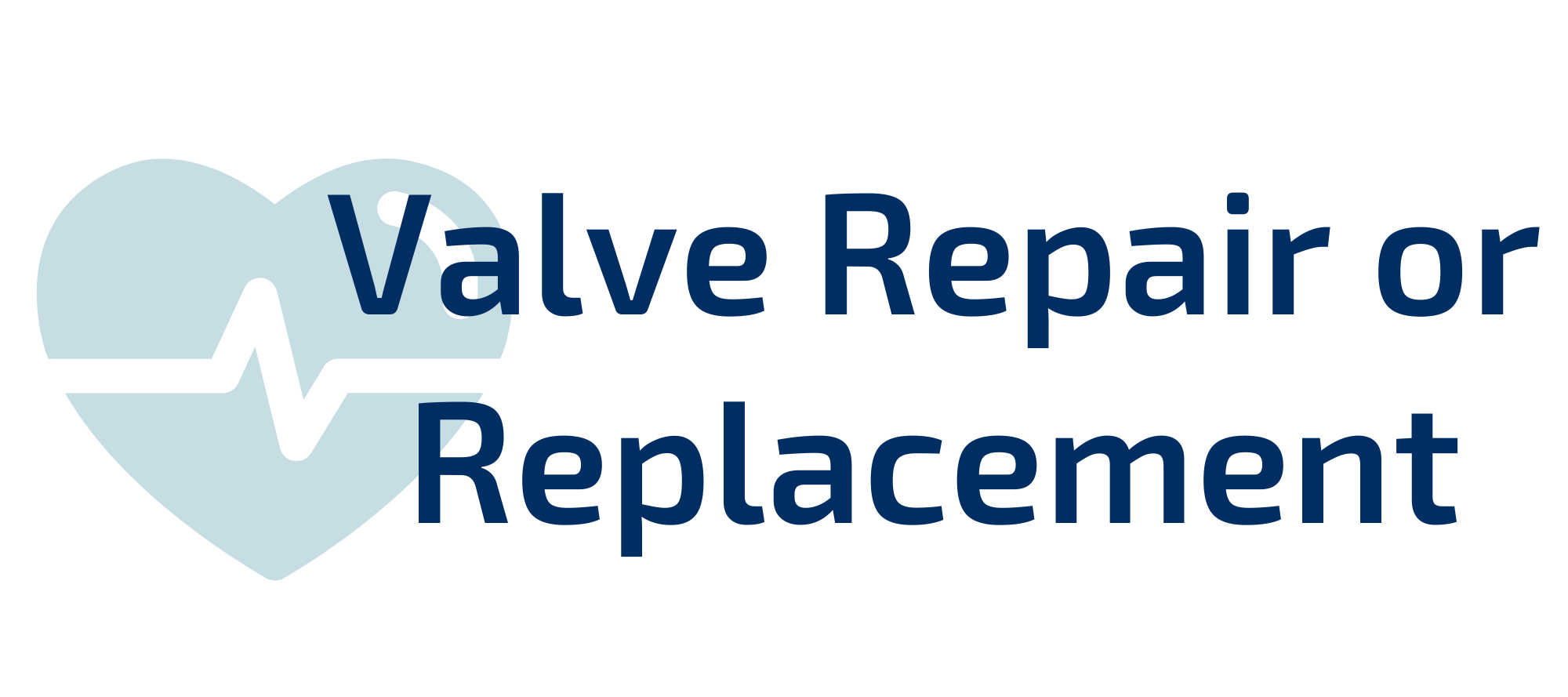icon_valve repair or replacement