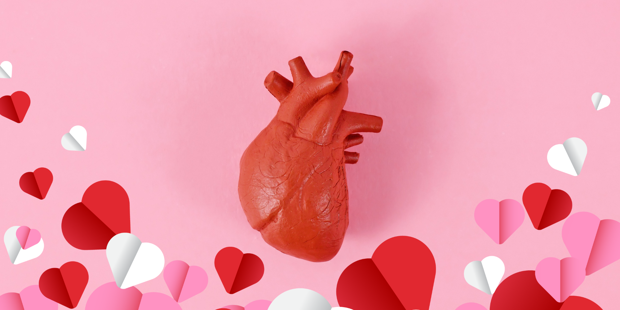 orangy red anitomical heart model surrounded by heart shapes against a pink background. The image looks like a Valentine's Day card for your heart (organ). 